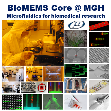 BioMEMS Core photo