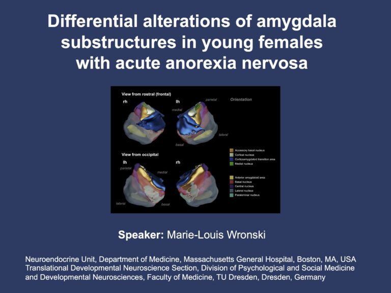 Differential alterations of amygdala nuclei volumes in acutely ill patients with anorexia nervosa and their clinical and neuroendocrine associations