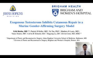 Exogenous Testosterone Inhibits Cutaneous Repair An A Murine Gender-Affirming Surgery Model