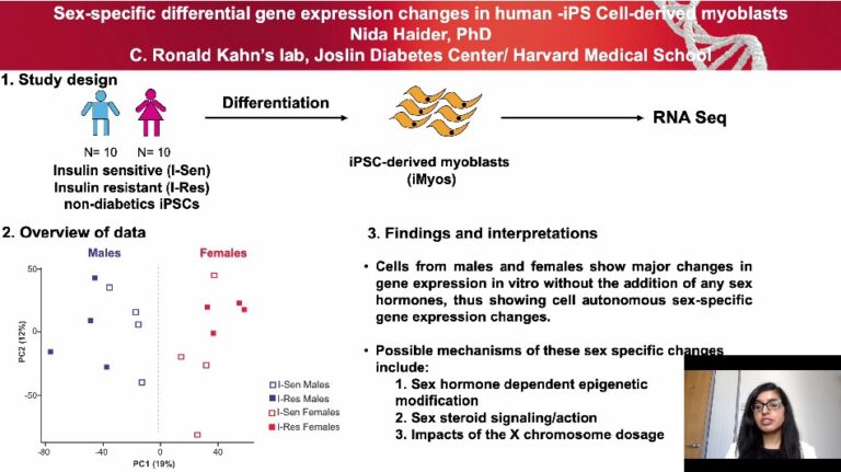 Sex-specific differential gene expression changes in human -iPS Cell-derived myoblasts