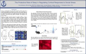 The protective role of sleep in regulating cortical responses to social stress